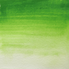 Image Vert de vessie 361 Blockx